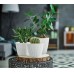 PROSPERPLAST SPLOFY Blumentopf 29,5 cm, mocca DSP300-7529U