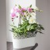 PROSPERPLAST CITY Blumenkaste mit Spitze 28,5 cm graphit DCIT285