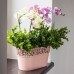 Prosperplast Naturo Blumentopf mit Spitzenoptik 28 cm graphit DNAT275