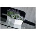 Prosperplast COUBI Blumenkasten mit Untersetzer 29x14,2x13,6cm Graphit DUPP300-426U