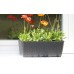 Prosperplast RATOLLA CASE Blumenkasten 39,1x17,3x14,5cm weiß ISR400-S449