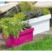 PROSPERPLAST CUBE CASE Blumenkasten Balkonkasten 8L Limme DCUC400