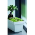 PROSPERPLAST CUBE CASE Blumenkasten Balkonkasten 8L Limme DCUC400
