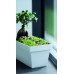 Prosperplast CUBE CASE Blumenkasten 58,7x26,4x23,6cm, Anthrazit DCUC600