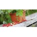 PROSPERPLAST PLASTICA Blumenkasten 28 x 12 x 10 cm, terracotta DKP1-R624