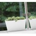 PROSPERPLAST TUBUS Fall Blumentopf 38,6l, limette DTUC600