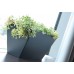 PROSPERPLAST TUBUS Fall Blumentopf 38,6l, limette DTUC600