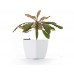 G21 Blumentopf mit Wasserspeicher Cube maxi weiß 45 cm 6392420
