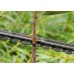 SKIL 0078 AA Garten-Set F.015.007.8AA