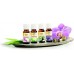 SOEHNLE Duftöl Vanilla 10 ml, 68041