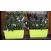 COUBI Blumenkasten 40x18x15cm, 7l grün DUP400
