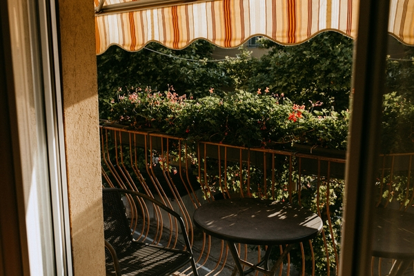 Pflanzen auf dem Balkon