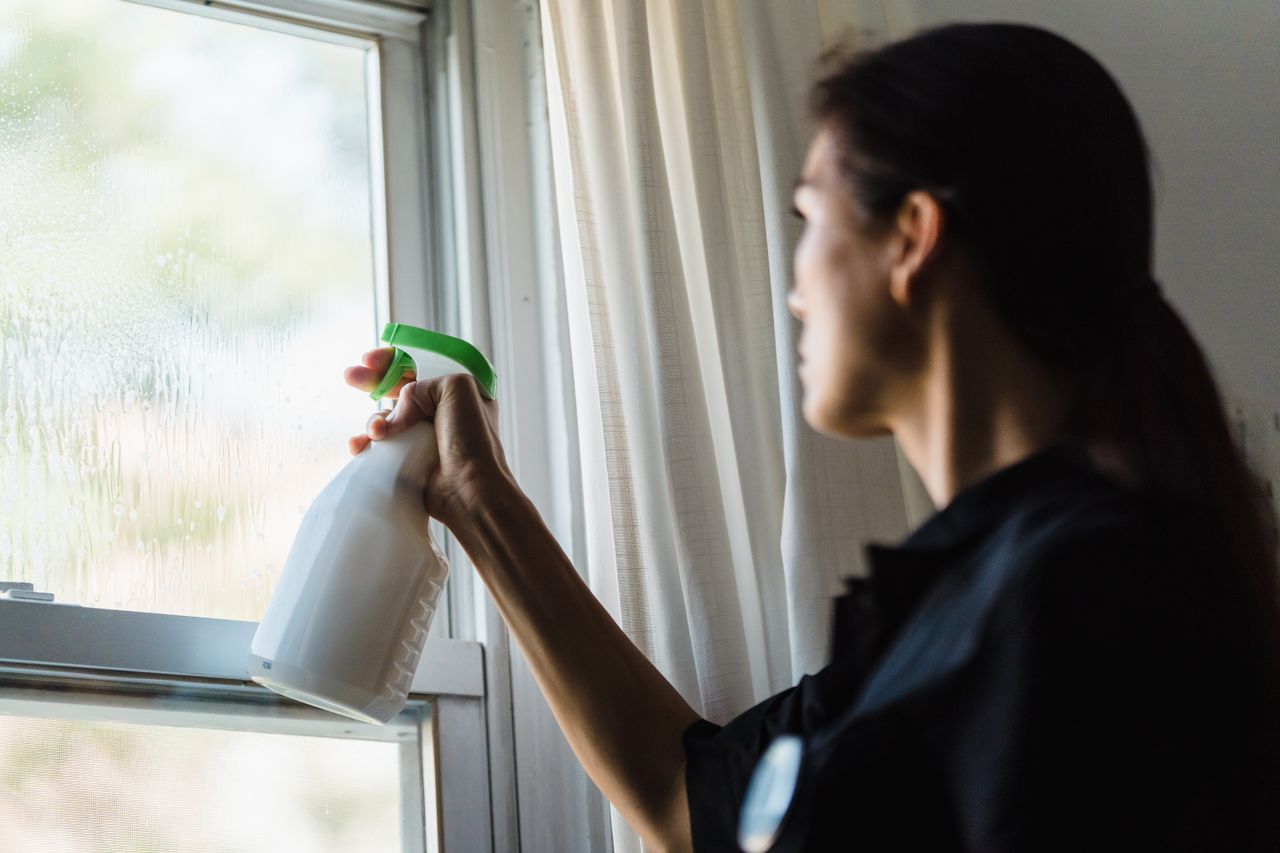 Fenster reinigen mit Putzmittel
