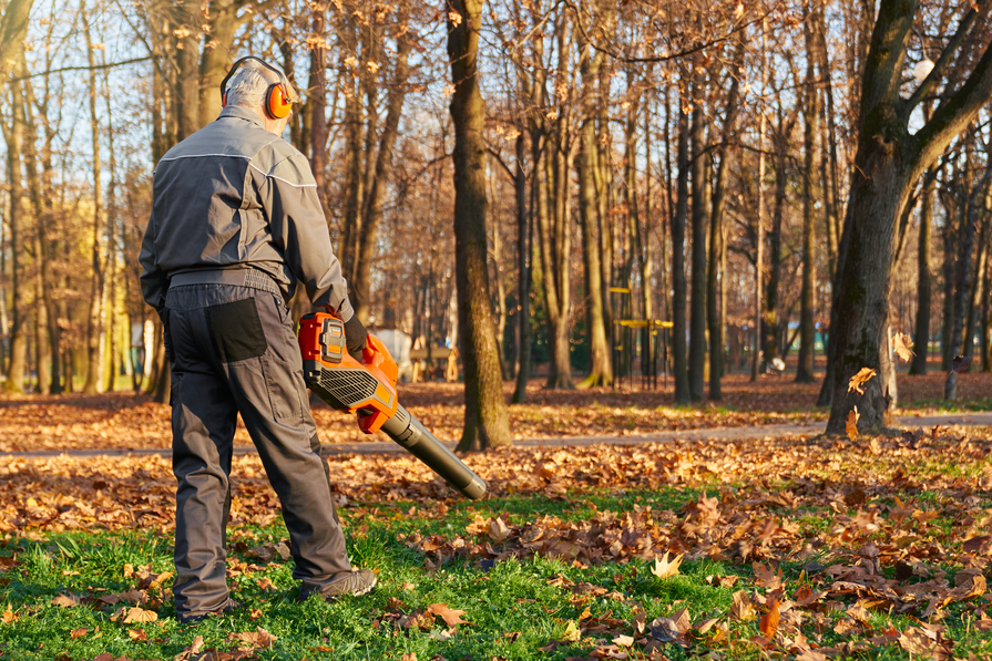 Mann nutzt einen Laubbläser im Park, um herabgefallene Herbstblätter von der Grünfläche zu entfernen.