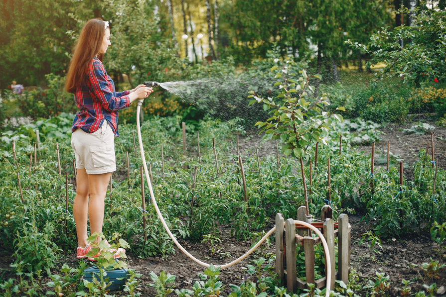 Eine Frau bewässert Pflanzen im Garten mit einem Gartenschlauch aus gesammeltem Regenwasser.