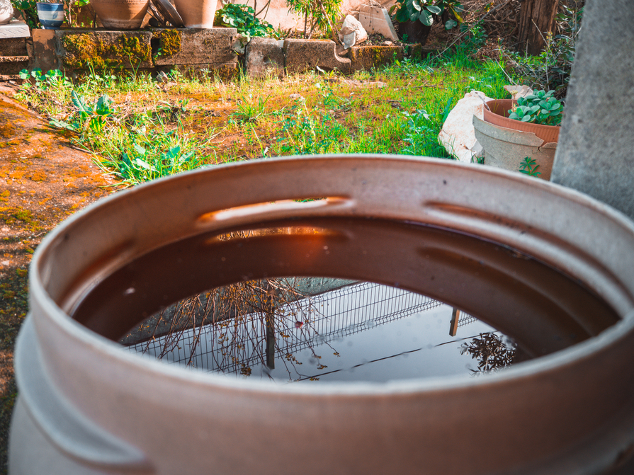 Eine gefüllte Regentonne sammelt Regenwasser im Garten zur späteren Bewässerung.