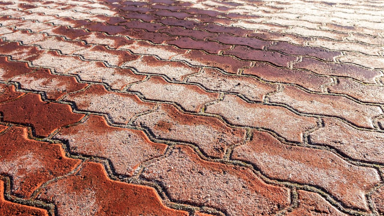 Unkraut zwischen Terrassenplatten