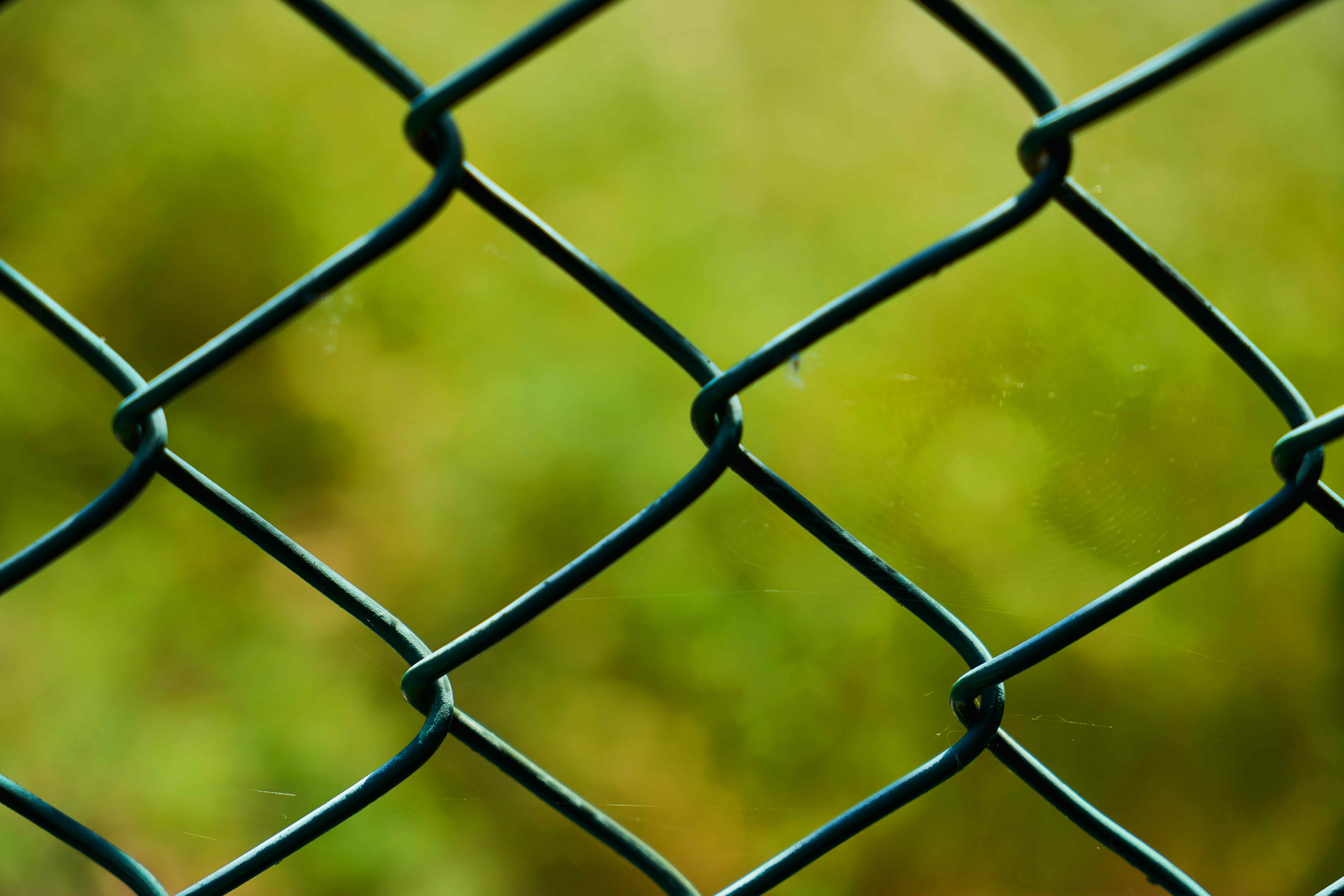Nahaufnahme eines grünen Maschendrahtzauns vor unscharfem, grünem Hintergrund.