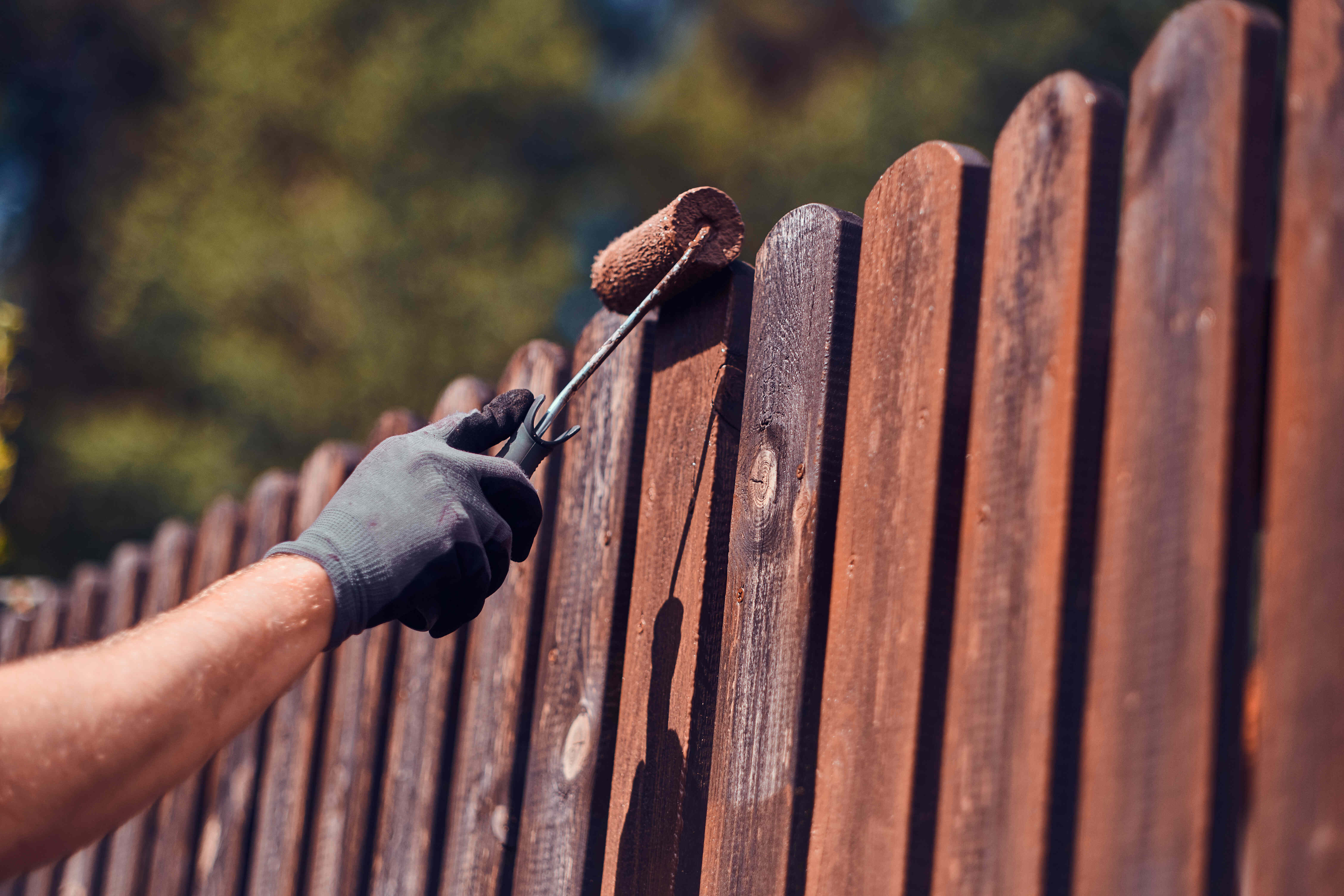 Eine Person mit Arbeitshandschuhen streicht im Freien einen Holzzaun mit einer Lackierrolle.